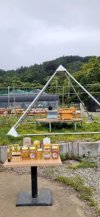 오소리와꿀벌들님의 작성글 사진