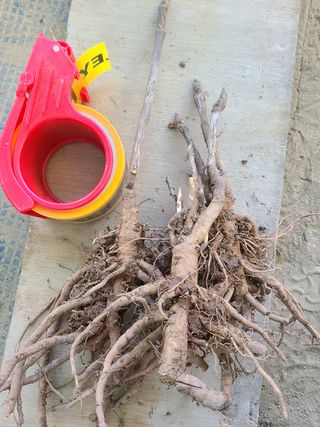 이호성님의 작성글 사진