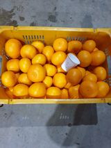 팜모닝 · 게시글 이미지