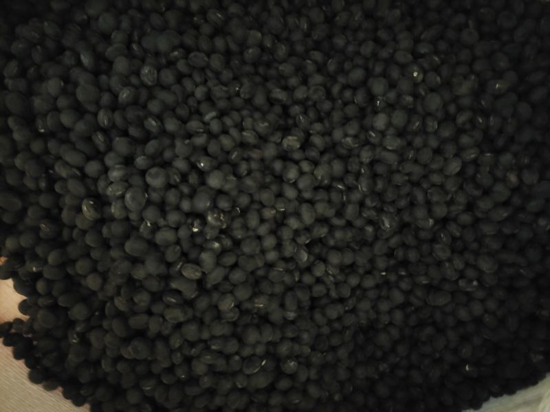 장터 상품 [서리태콩] 썸네일