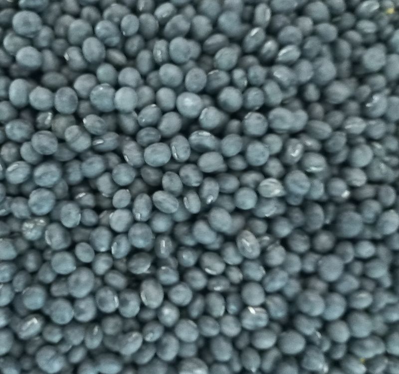 조정옥님의 장터 판매 상품 [서리태콩 ] 첨부 사진