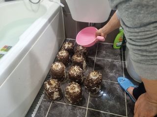 서광호님의 버섯 · 일상 작성글 사진