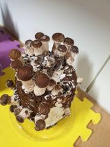 팜모닝 버섯·일상 게시글 이미지