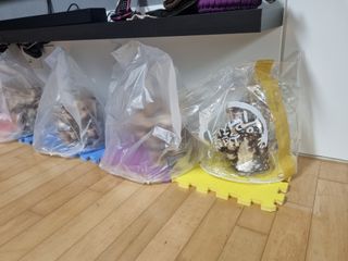 서광호님의 버섯 · 일상 작성글 사진