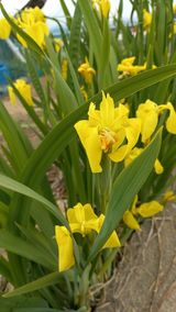 팜모닝 · 게시글 이미지