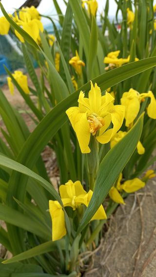 박신영님의 작성글 사진