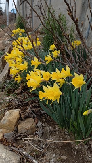 박신영님의 작성글 사진