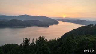 진주 김증수님의 딸기 · 일상 작성글 사진