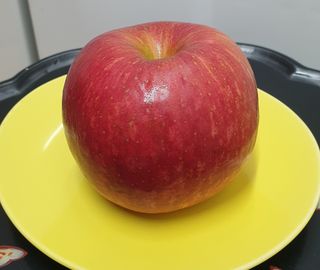 호랑이와인성이님의 사과 · 저장•가공 작성글 사진