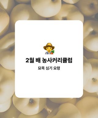 배 농사도우미님의 배 · 파종작업 작성글 사진