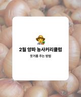 팜모닝 양파·농사길잡이 게시글 이미지