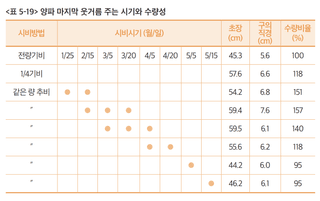 양파 농사도우미님의 양파 · 농사길잡이 작성글 사진
