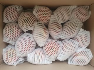 숲등농장 달밭사과님의 작성글 사진