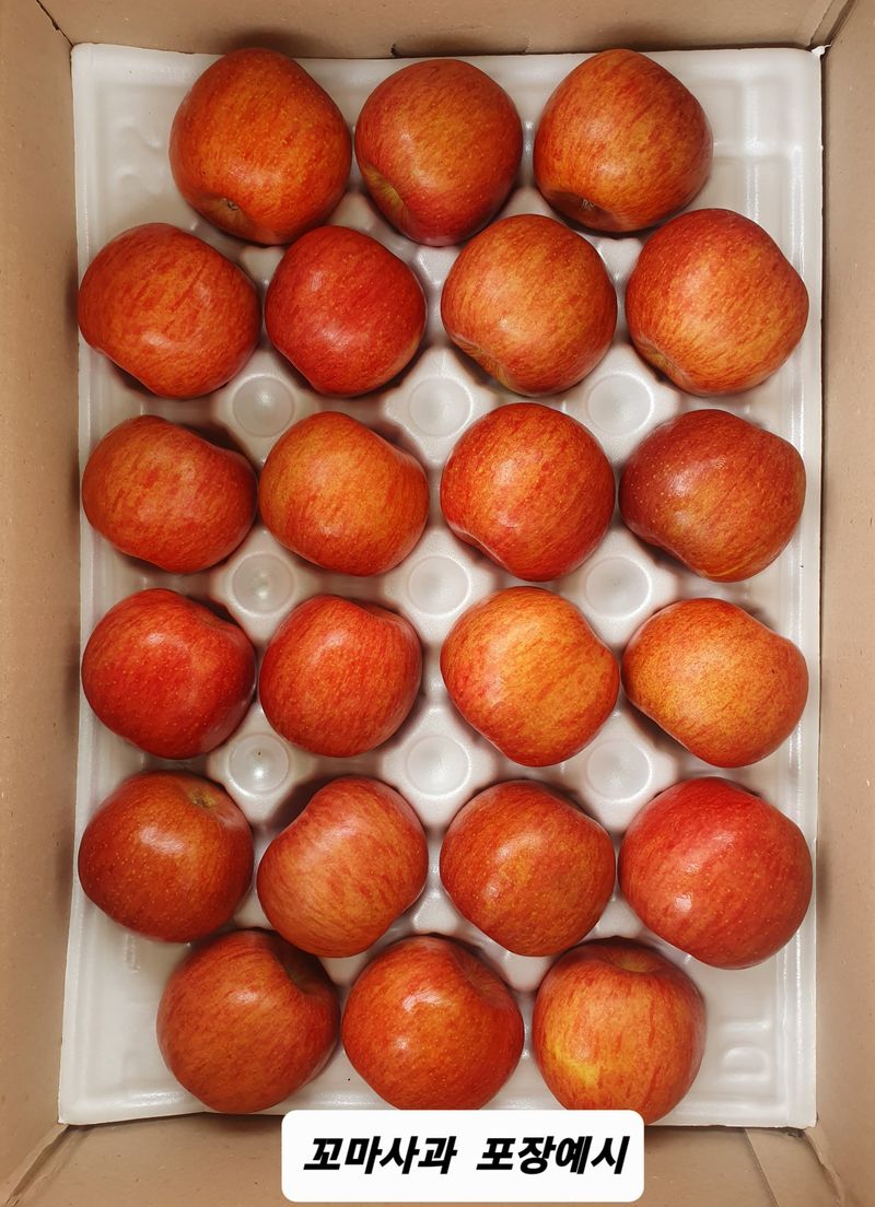 숲등농장 달밭사과님의 장터 판매 상품 [ 안동꿀 사과 [숲등농장무료배송]] 첨부 사진