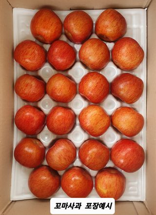 숲등농장 달밭사과님의 작성글 사진