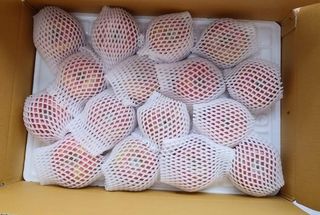 숲등농장 달밭사과님의 작성글 사진