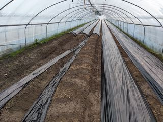 김형진님의 감자 · 자유게시판 작성글 사진