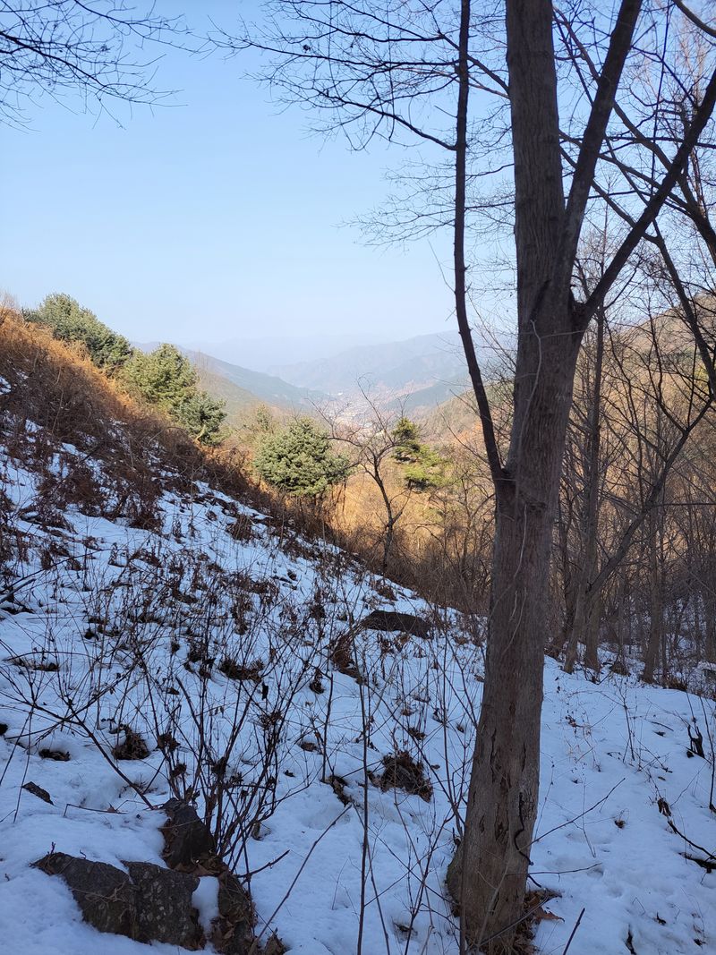 정완희 님의 장터 판매 상품 [구례 백운산 고로쇠  4.3×4] 첨부 사진