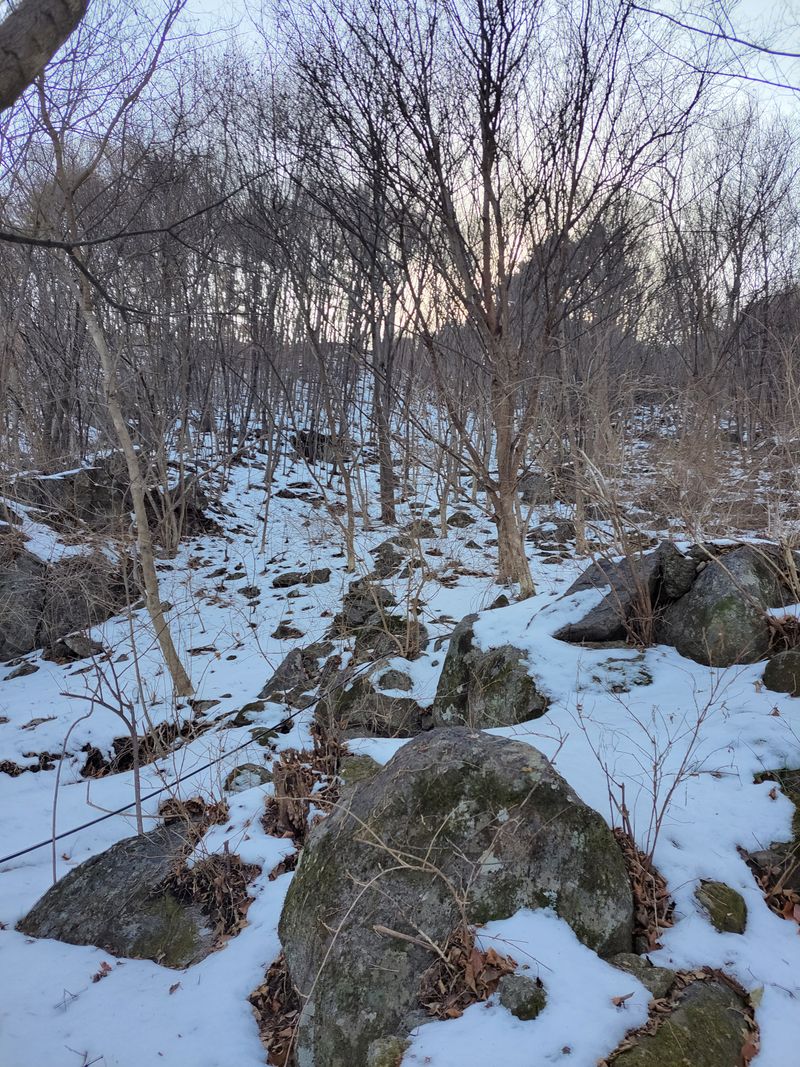 정완희 님의 장터 판매 상품 [구례 백운산 고로쇠  4.3×4] 첨부 사진
