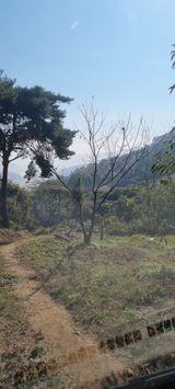 팜모닝 기타작물·병해충상담 게시글 이미지