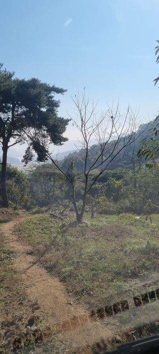 기쁨으로님의 기타작물 · 병해충상담 작성글 사진