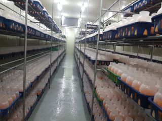 강석준님의 버섯 · 일상 작성글 사진