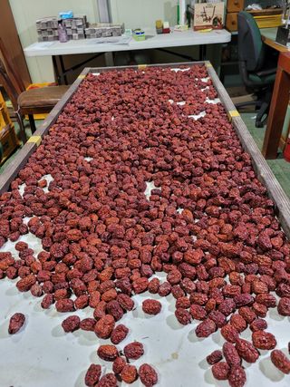 홍상옥님의 작성글 사진