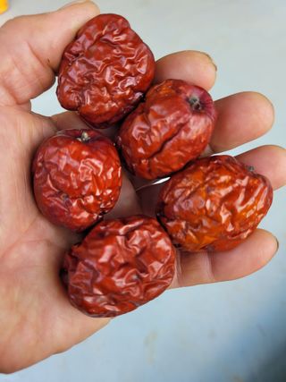 홍상옥님의 작성글 사진