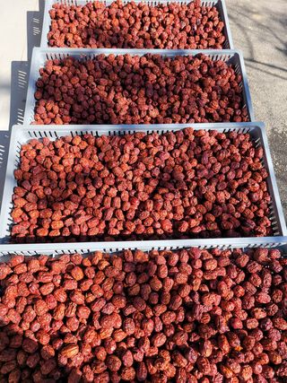 홍상옥님의 작성글 사진