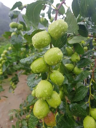 홍상옥님의 작성글 사진