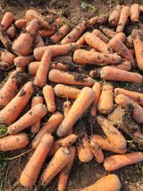 팜모닝 · 게시글 이미지