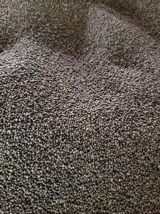 윤인석님의 작성글 사진