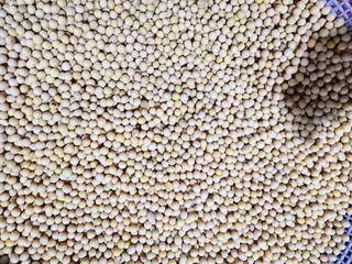 조일현님의 작성글 사진