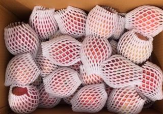 숲등농장 달밭사과님의 작성글 사진