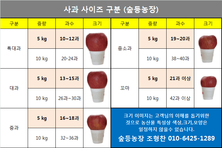 숲등농장 달밭사과님의 장터 판매 상품 [ 🍎[판매마감 감사합니다] 안동꿀 사과 5kg / 10kg  [전국택배 가능]] 첨부 사진