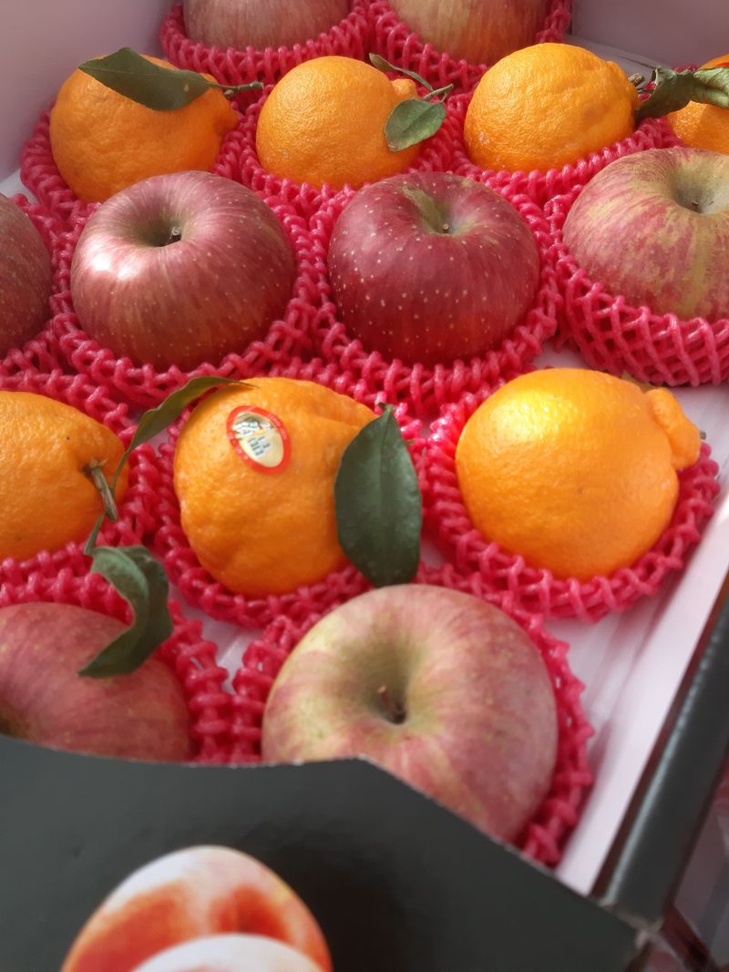 장터 상품 [[판매중단] 혼합 과일 선물셋트 (부사사과 8+한라봉 8) 1박스 ㅡ무료배송 ] 썸네일