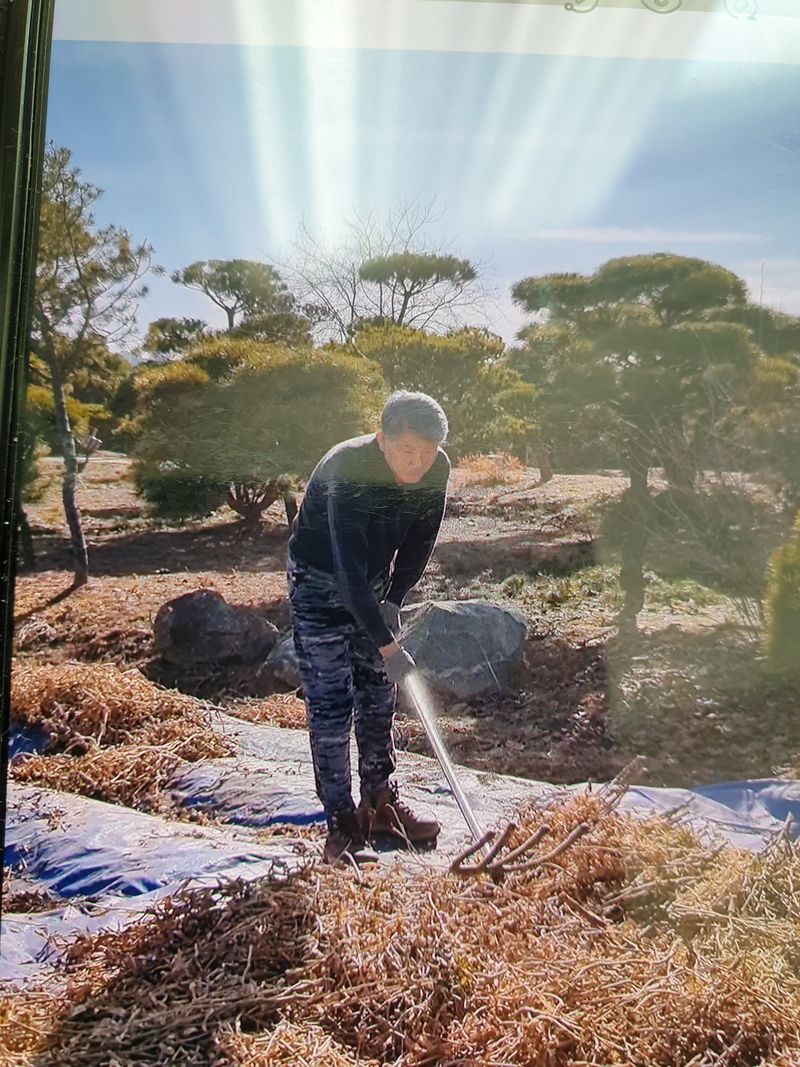 장터 상품 [서리태콩 5kg] 썸네일