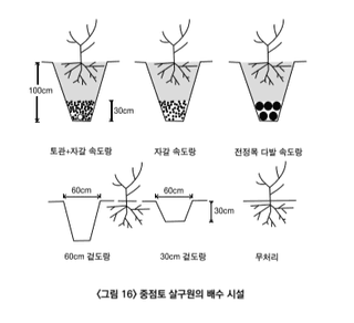 복숭아 농사도우미님의 복숭아·농사길잡이 작성글 사진