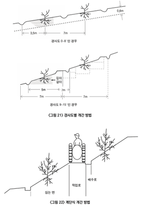 복숭아 농사도우미님의 복숭아 · 농사길잡이 작성글 사진