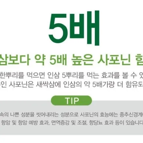 바이오진담 ㅡ새싹삼님의 장터 판매 상품 [새싹삼 ㅡ중간사이즈 100뿌리 ] 첨부 사진