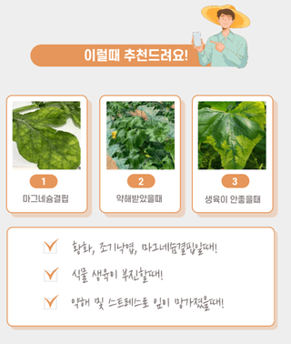 박근희님의 작성글 사진