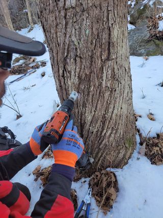 정완희 님의 작성글 사진