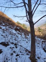 팜모닝 · 게시글 이미지