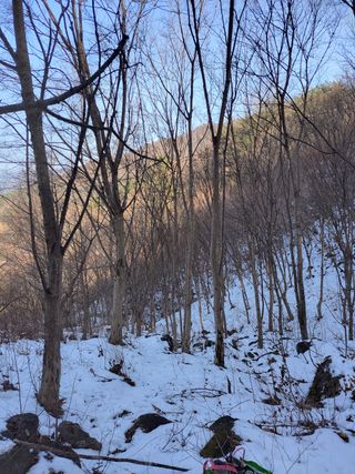 정완희 님의 작성글 사진