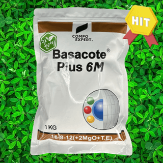 박근희님의 작성글 사진