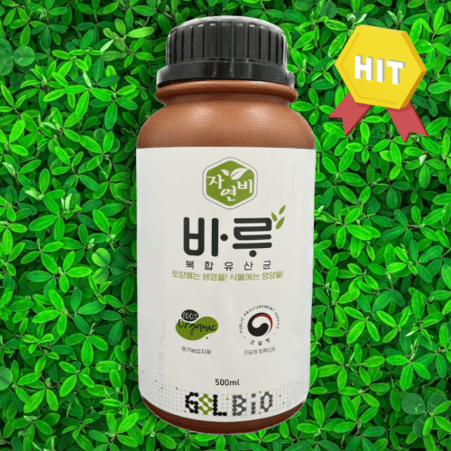 박근희님의 장터 판매 상품 [복합유산균 "바루"500ml] 첨부 사진