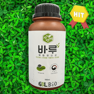 박근희님의 작성글 사진