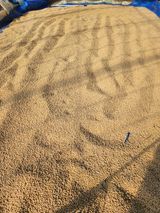 팜모닝 · 게시글 이미지