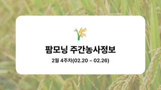 벼 농사도우미님의 벼 · 농사길잡이 작성글 사진