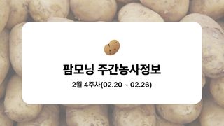 감자 농사도우미님의 감자·농사길잡이 작성글 사진